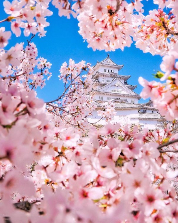 What is the most beautiful season, and why? Quora