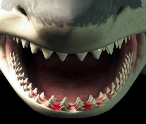 Sharks With Human Teeth