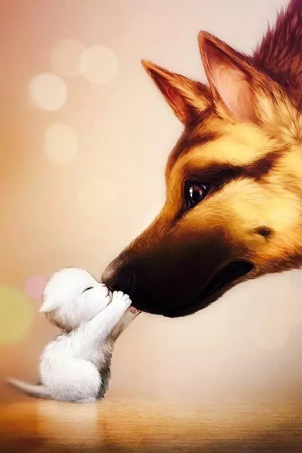 Why Do Puppies Have Bad Dreams