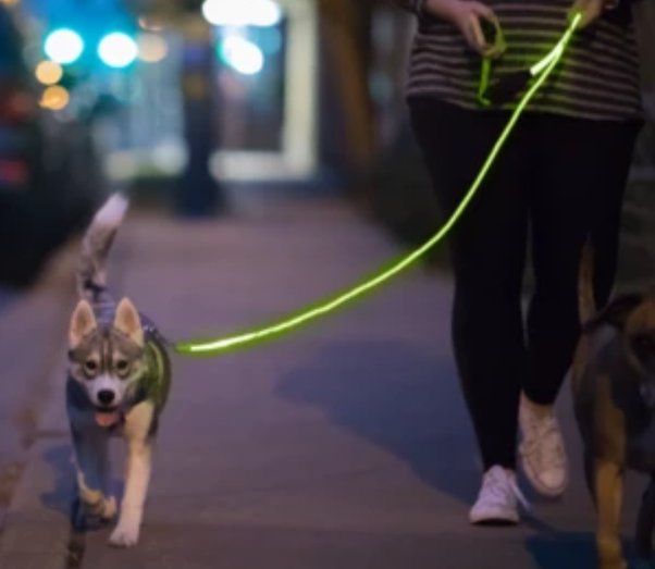 Do flashing lights bother dogs? Quora