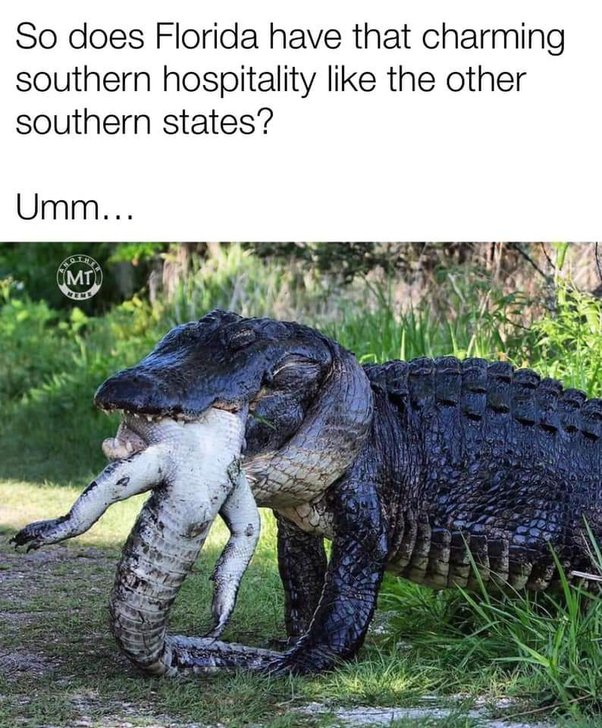 Are there alligators in Lake Mead? Quora