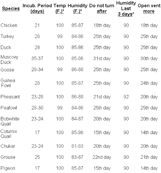 What is the best temperature for egg incubation? Quora