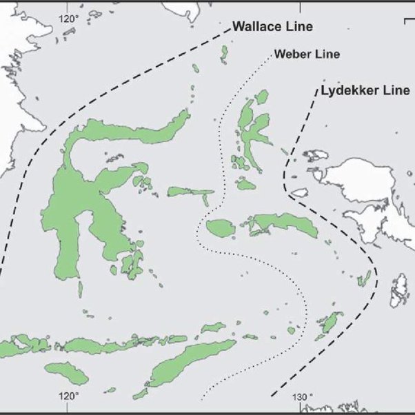 Why is the west half of New Guinea called West Papua while the east