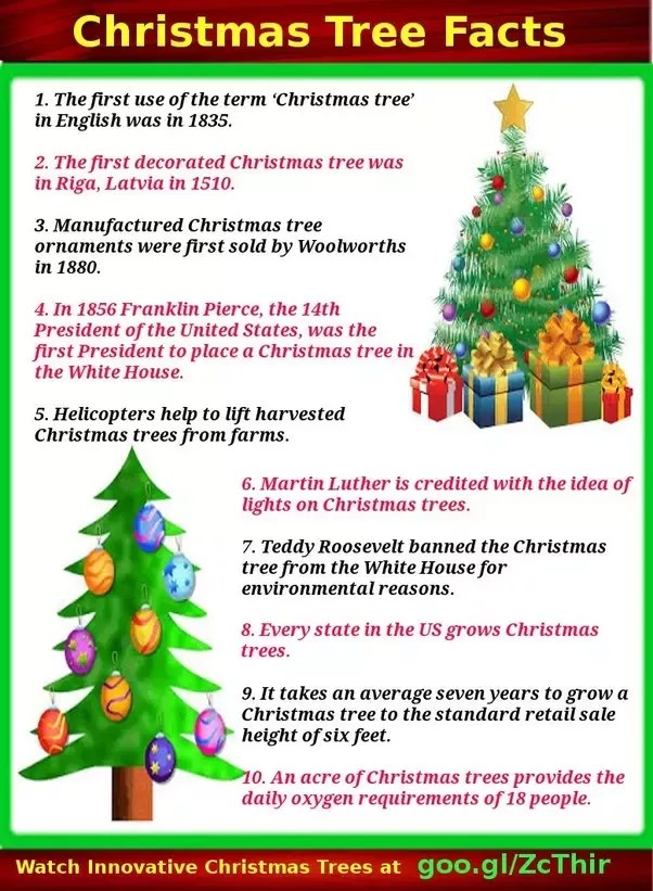 Top 163+ christmas tree decoration essay best seven.edu.vn