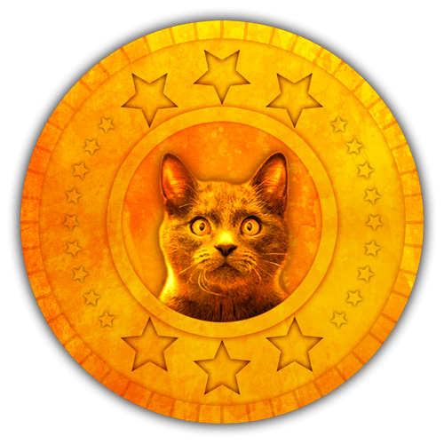 What does “no FG” mean on a coin? Quora