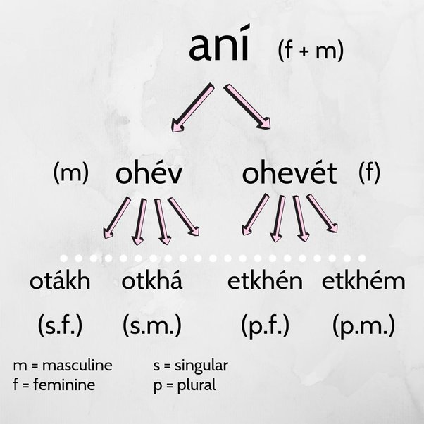 How to say I love you in Hebrew Quora