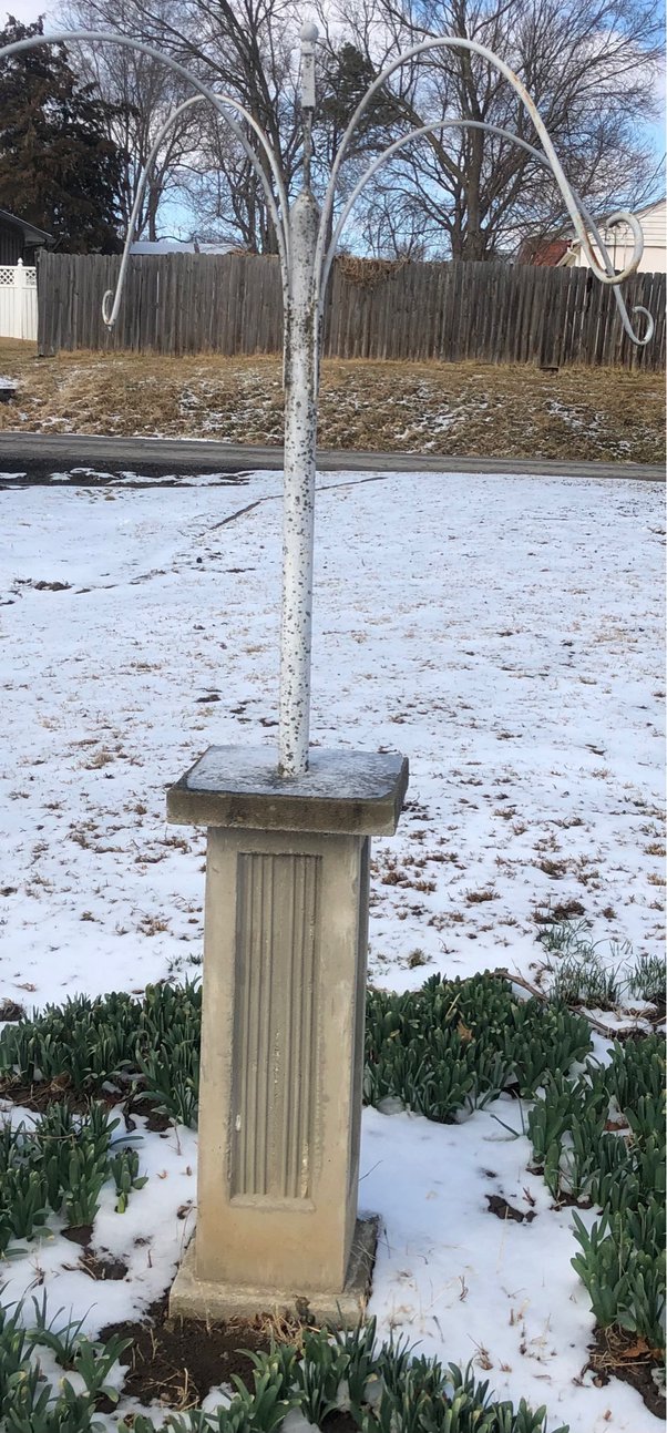 How to remove green mold from concrete Quora