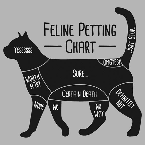 Why Do Dogs And Cats Like Being Petted