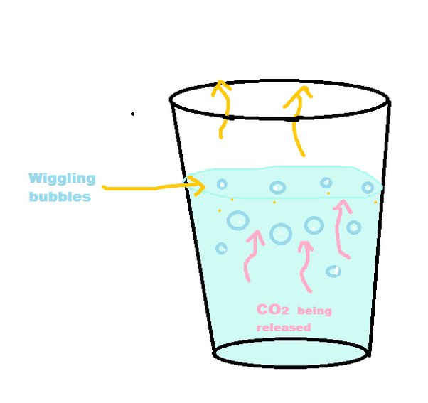 Why Are There Bubbles In My Tap Water/ Why Do Softdrinks Go Flat