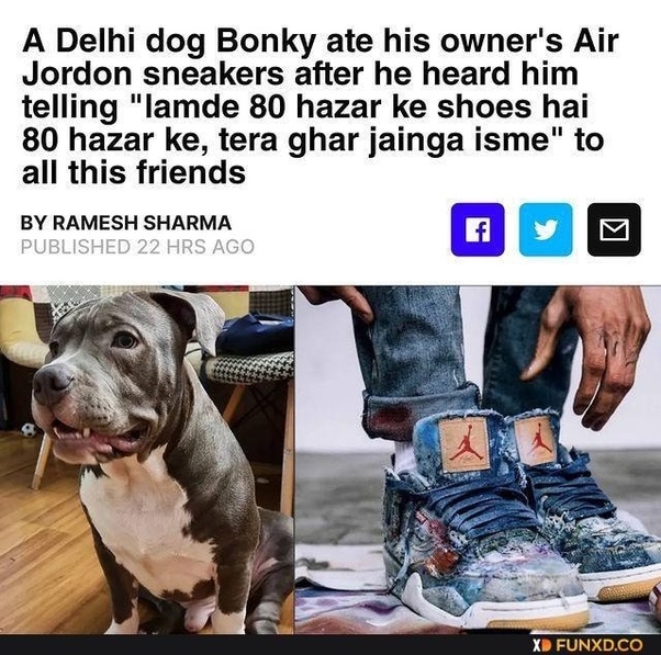 Dog Ate Leather Shoe atelieryuwa.ciao.jp