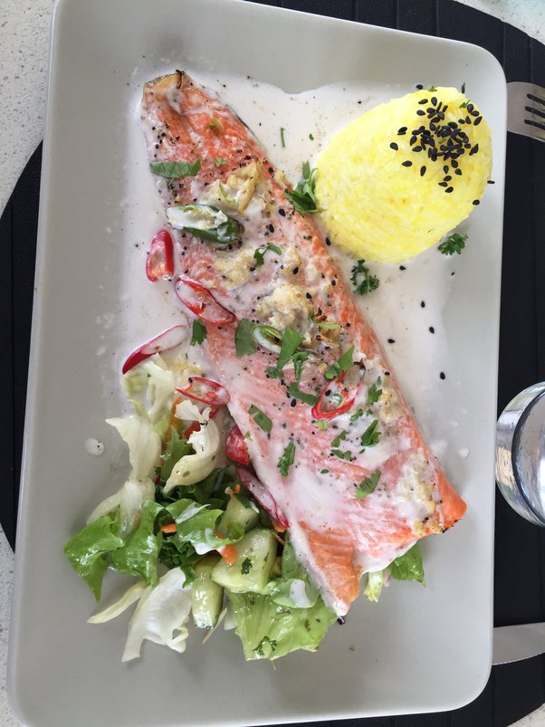 Does cat meat taste good? What does it taste like? Quora