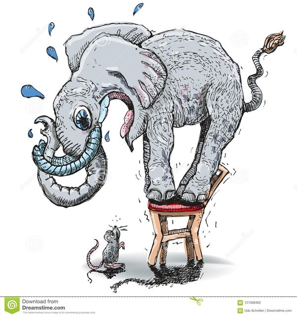 Why is it in fiction elephants are afraid of mice when really they are
