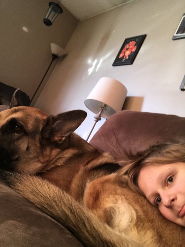 Why Does My Dog Growl When I Hug Him?