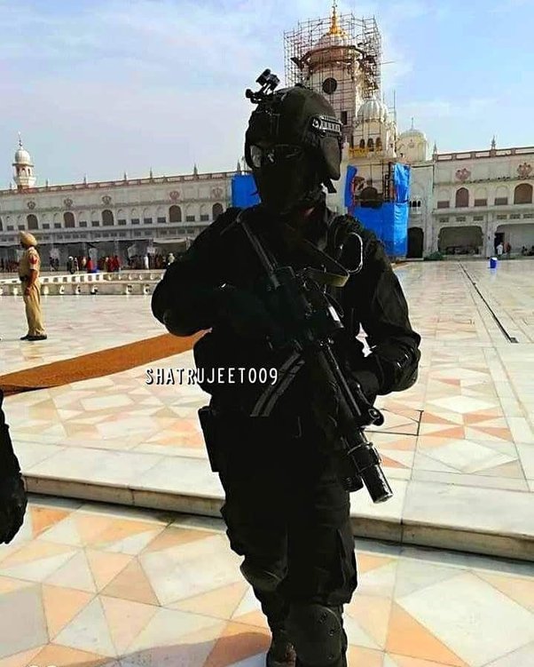 What are the differences between Para Commandos and NSG Commandos? Quora