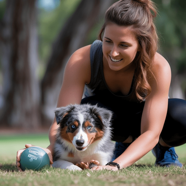 Why Do Australian Shepherds Need Exercise