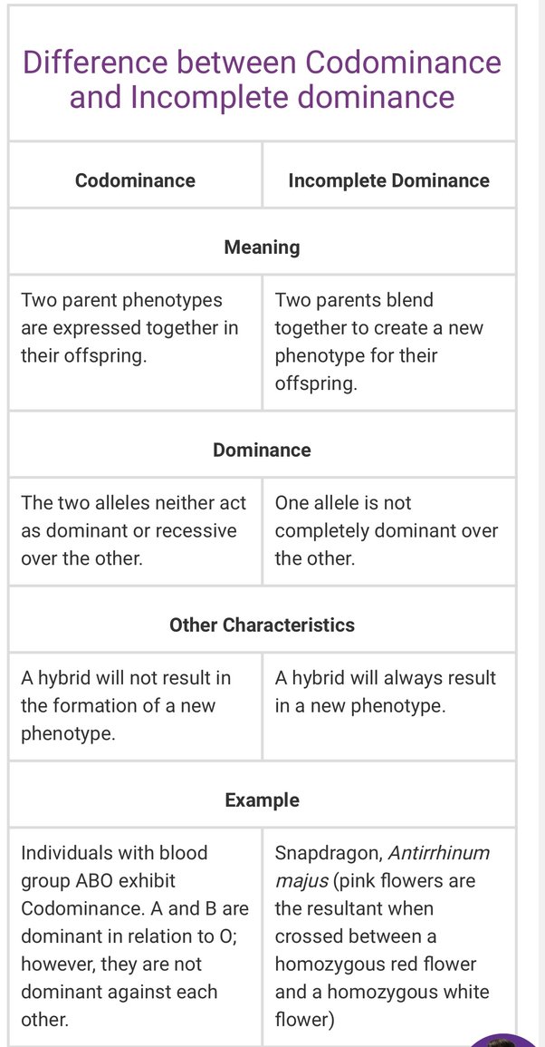What happens when two parents have different dominant and recessive