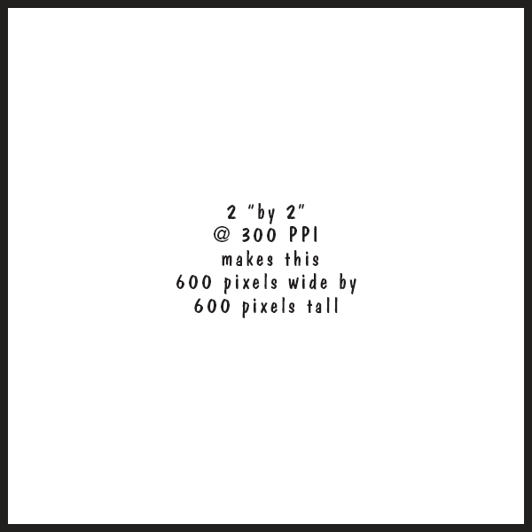 Passport Photo Size In The US All Details Explained, 48 OFF