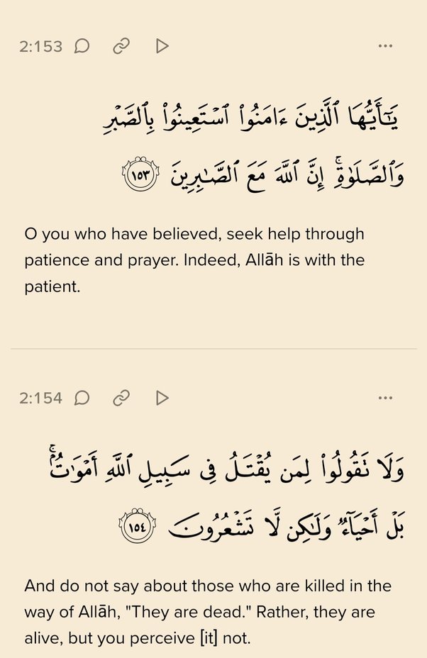 Cruel Meaning In Urdu Online Price www.gbupresnenskij.ru