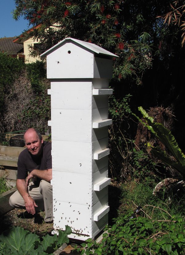 What is the Hive system and how does it work? How does it connect to