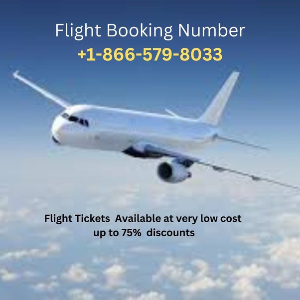 How to change or cancel a Frontier Airlines flight Quora