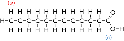 What Is The Formula Of Lauric Acid? - Quora