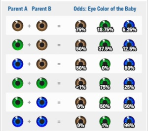 Può un figlio avere gli occhi scuri se i suoi genitori hanno gli occhi chiari? Quora
