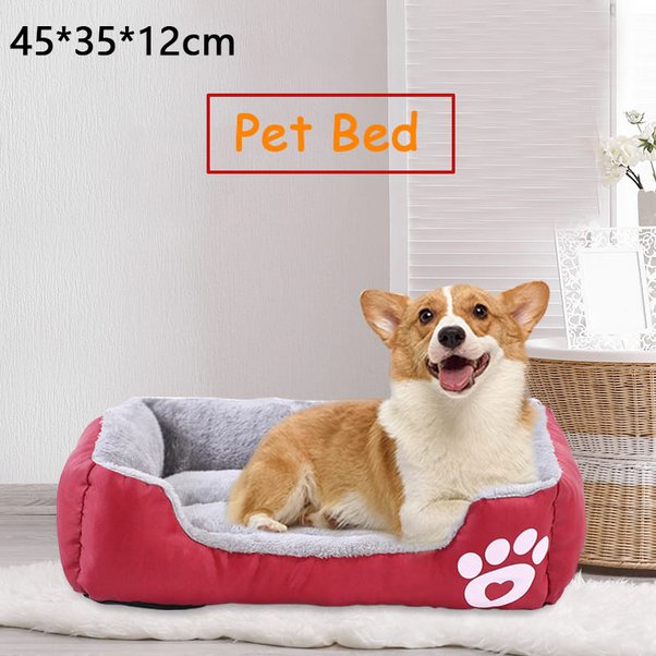 What are the best dog products to sell in 2020? Quora