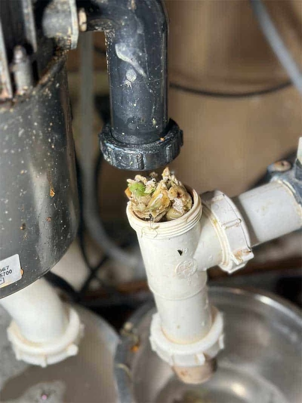 Dr Rooter Vortex Plunger Seller gbupresnenskij.ru