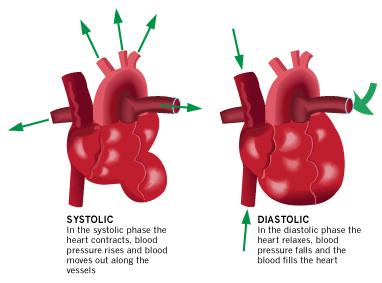 What Does Systolic And Diastolic Mean In Relation To Blood Pressure? - Quora