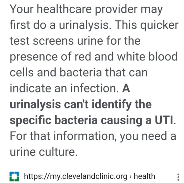 How long does it take for doctors to prescribe antibiotics for a
