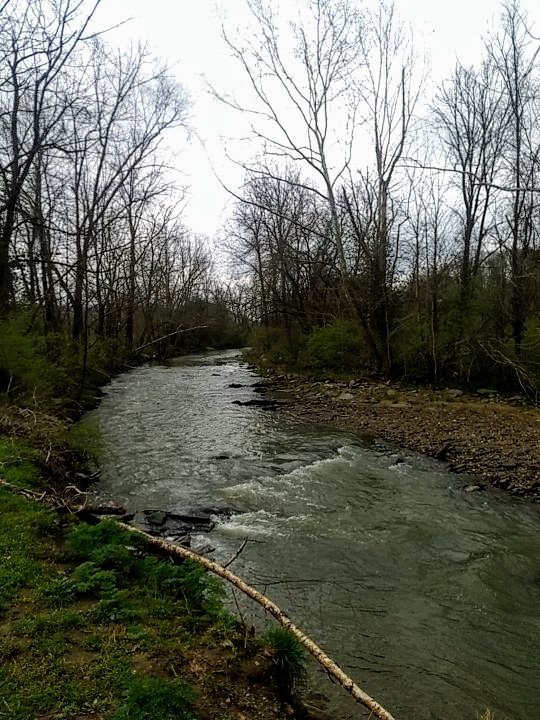 Does walking 8,000 steps every day count like exercise? Quora