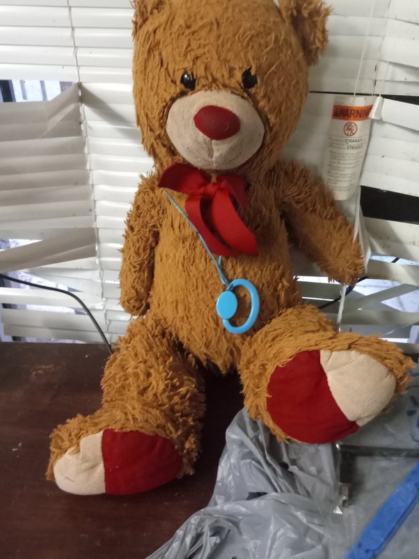 Who is the Teddy bear named after in NYC? Quora