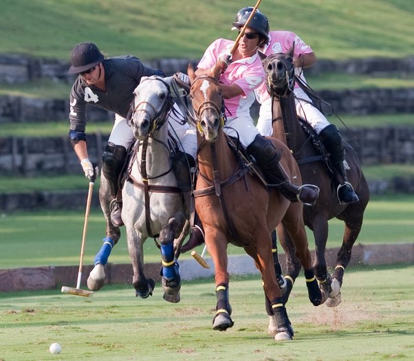 What is it like to play polo? Quora