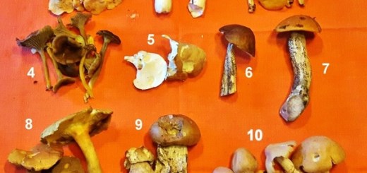 redde-verden.com: Hvordan komme seg ut av fattigdom?