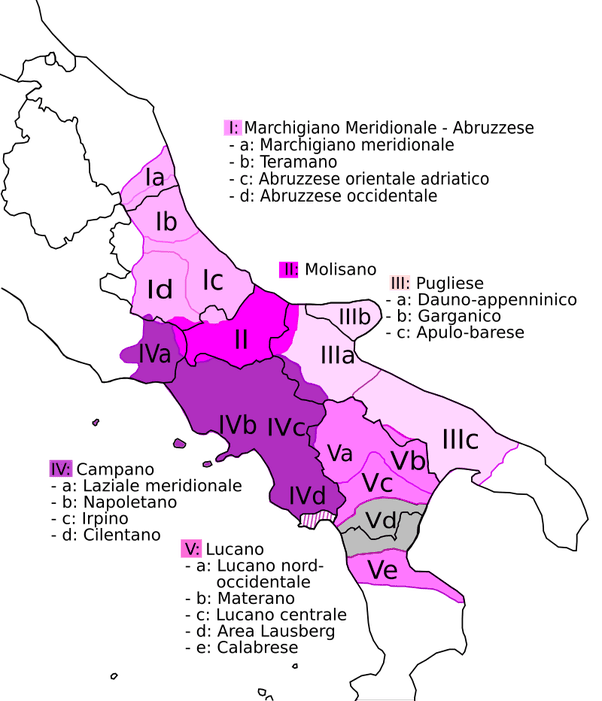 What is the reason that there is no real common language among the