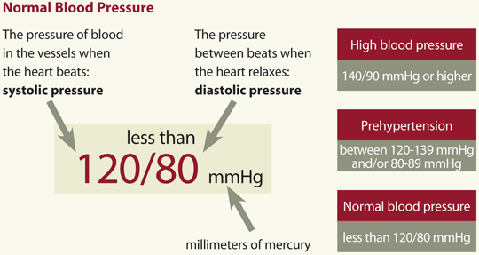 What Is Blood Pressure? - Quora