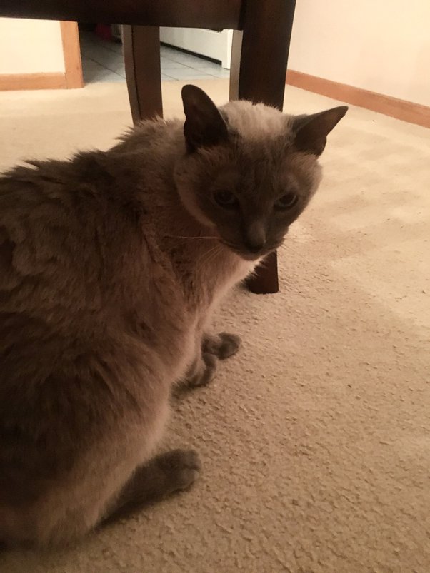 Are there any special considerations that a person should take into