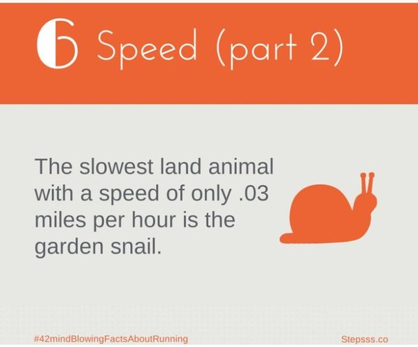 What does 'fun run' mean? Quora