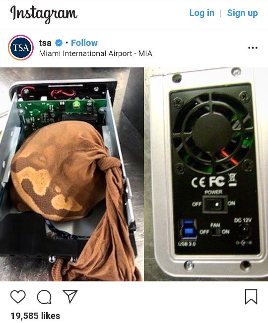 Will they check the contents of my laptop and external hard disks at