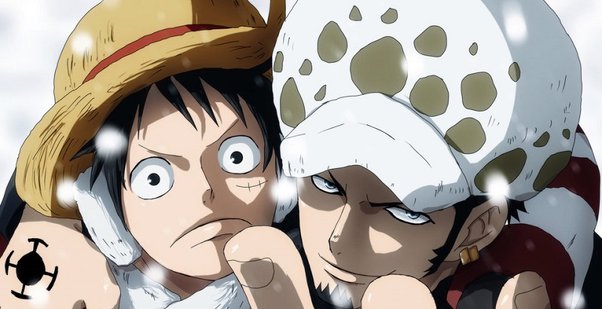 Monkey D. Luffy and Trafalgar D. Law