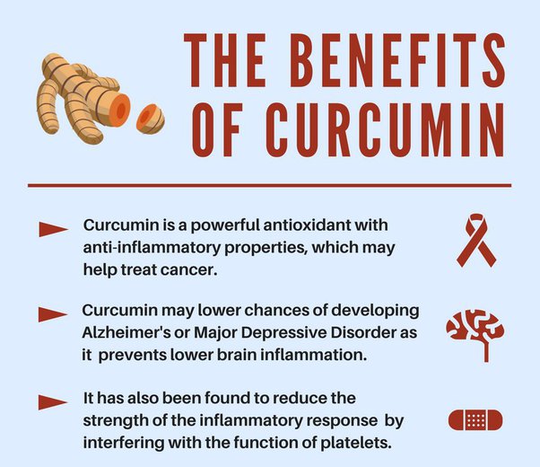 Why is curcumin so effective at reducing inflammation? Quora