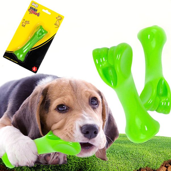 How to buy a dog online Quora