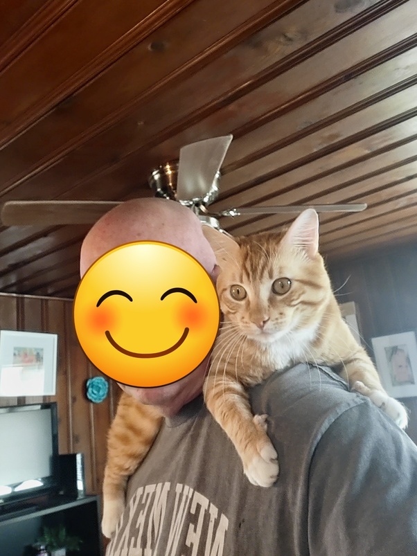 What do I do with an unwanted house cat nobody wants to buy or take