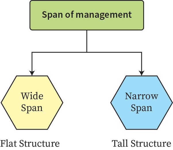 🌱 What is narrow span of control. What is a narrow span of control