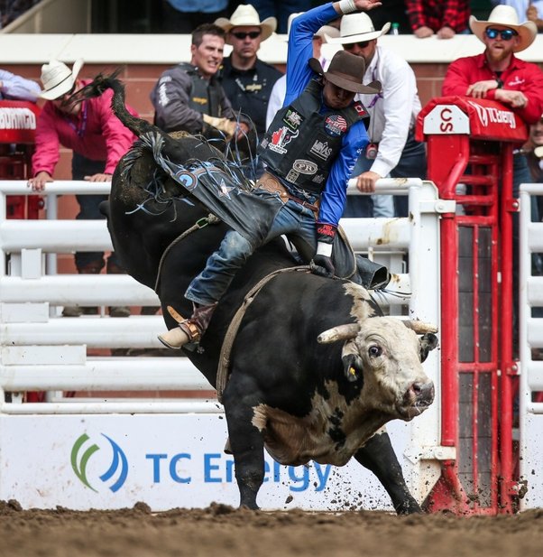 What is it like living in an Alberta city like Calgary or Edmonton? Are there many things to do