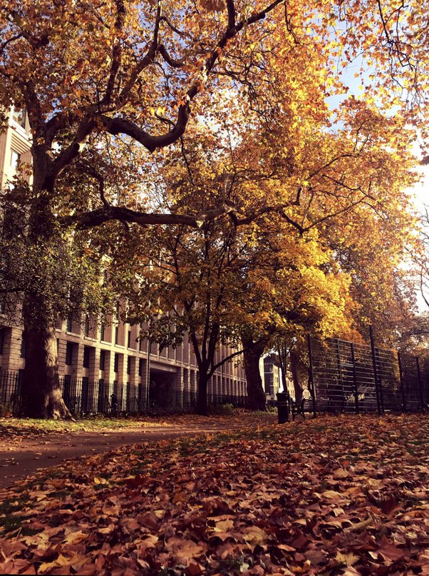 What month(s) is considered late autumn (fall)? Quora