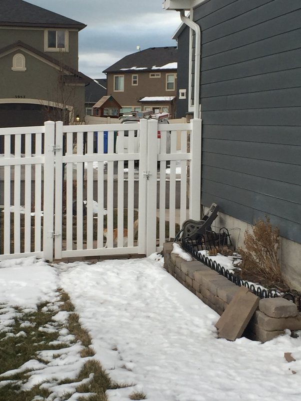 My neighbor’s dog keeps coming into my yard after I asked them to put