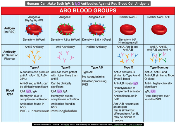 RBC (Red blood cell) TK Talk