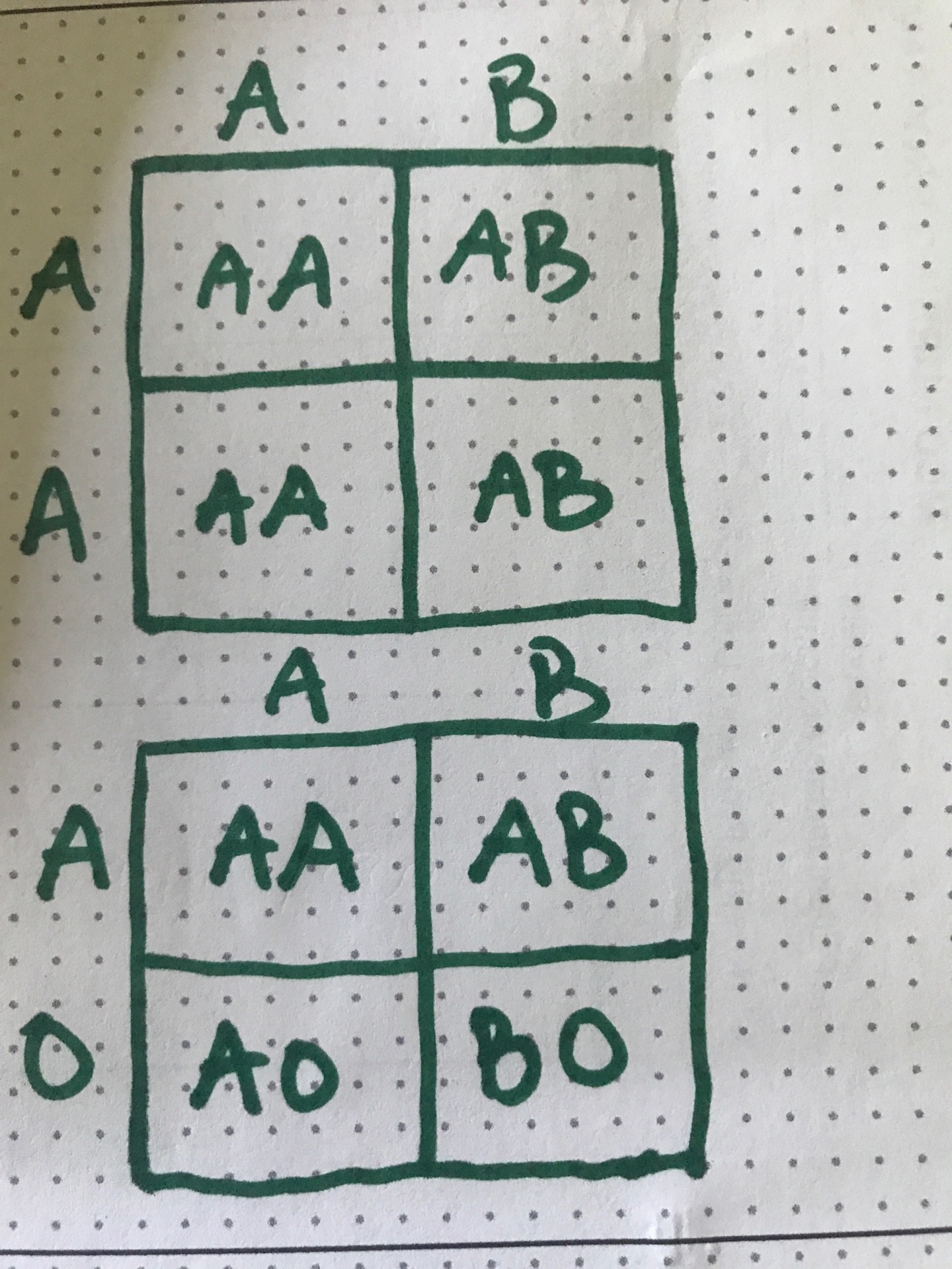 Golongan/golongan darah apa yang terdapat pada keturunan jika seorang ibu  bergolongan darah AB dan ayah bergolongan darah A? - Quora