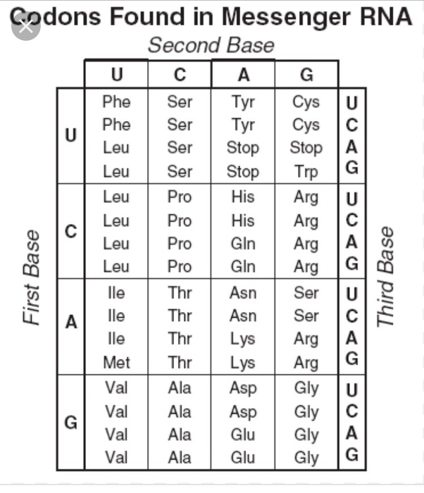 Why does Nature only use 3 nucleotides to code for one amino acid when